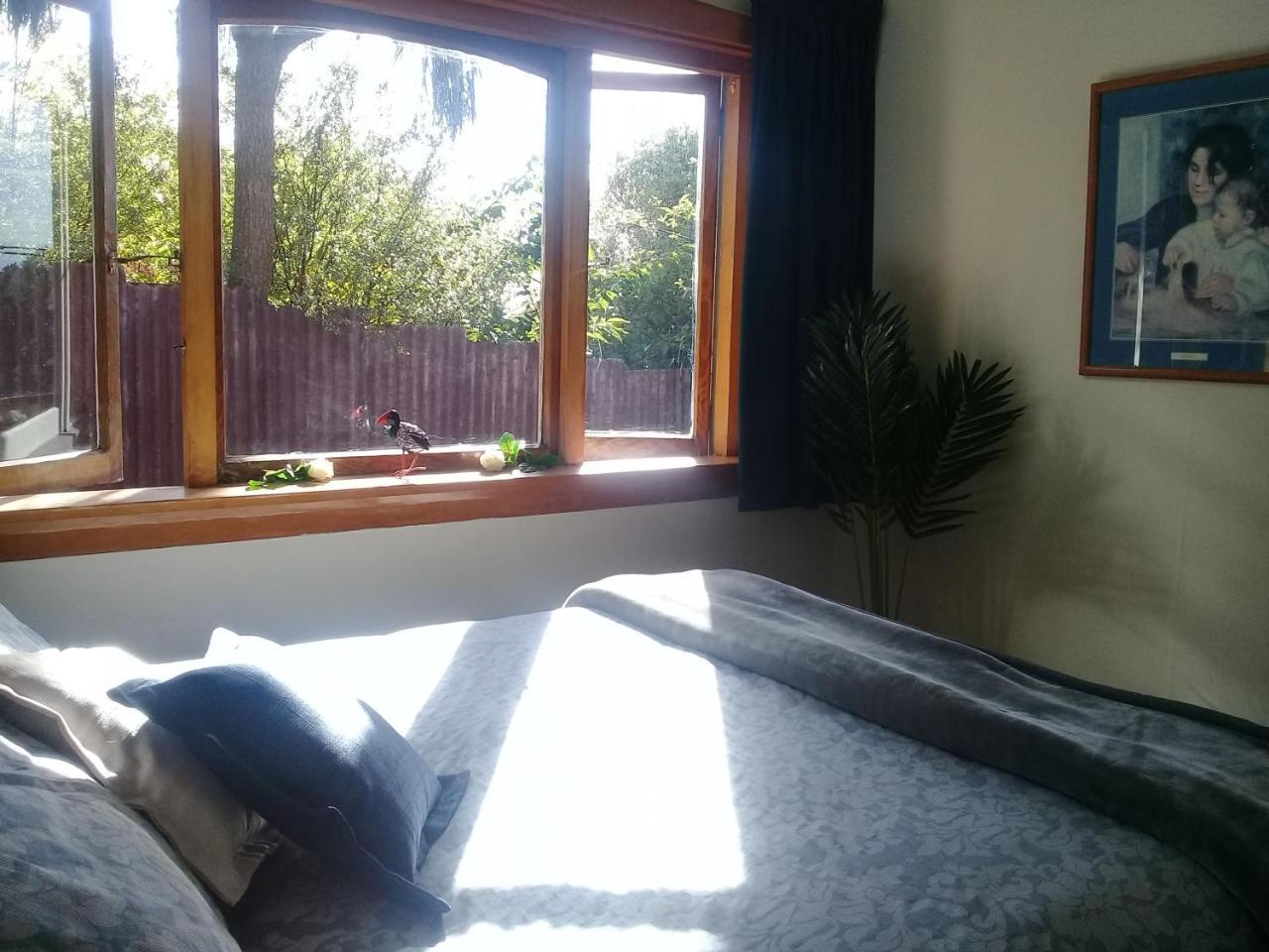 Blue Penguin Villa Timaru Exterior foto